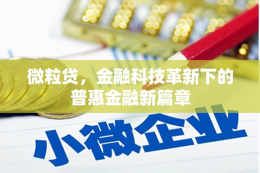 萍乡微粒贷，金融科技革新下的普惠金融新篇章