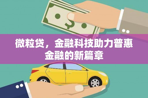 萍乡微粒贷，金融科技助力普惠金融的新篇章