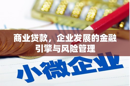 萍乡商业贷款，企业发展的金融引擎与风险管理