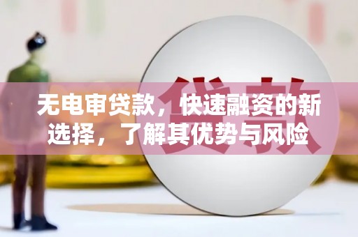 萍乡无电审贷款，快速融资的新选择，了解其优势与风险