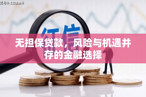 萍乡无担保贷款，风险与机遇并存的金融选择