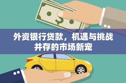 萍乡外资银行贷款，机遇与挑战并存的市场新宠