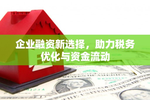 萍乡企业融资新选择，助力税务优化与资金流动