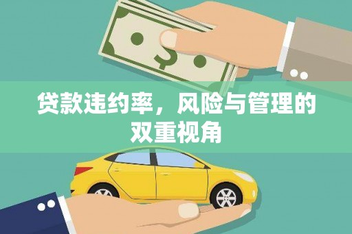 萍乡贷款违约率，风险与管理的双重视角