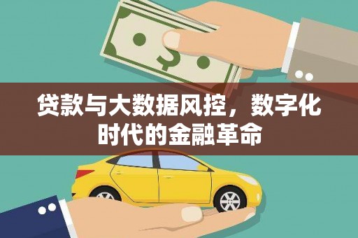 萍乡贷款与大数据风控，数字化时代的金融革命