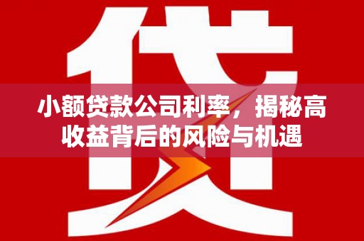萍乡小额贷款公司利率，揭秘高收益背后的风险与机遇