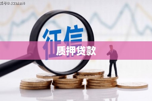 萍乡质押贷款