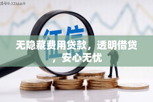 萍乡无隐藏费用贷款，透明借贷，安心无忧