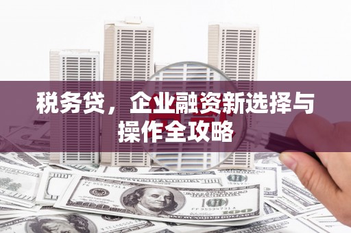 萍乡税务贷，企业融资新选择与操作全攻略