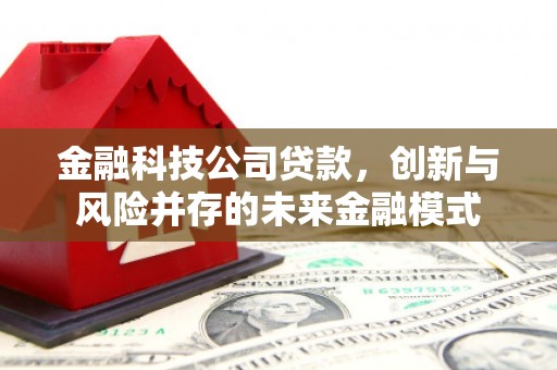萍乡金融科技公司贷款，创新与风险并存的未来金融模式