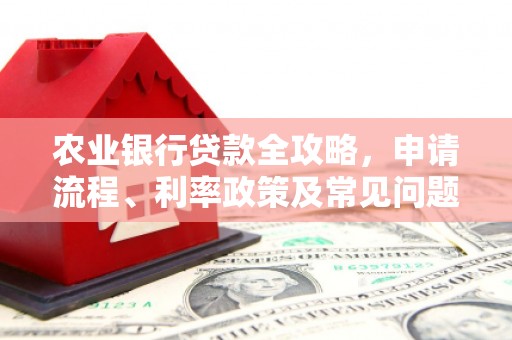 萍乡农业银行贷款全攻略，申请流程、利率政策及常见问题解析