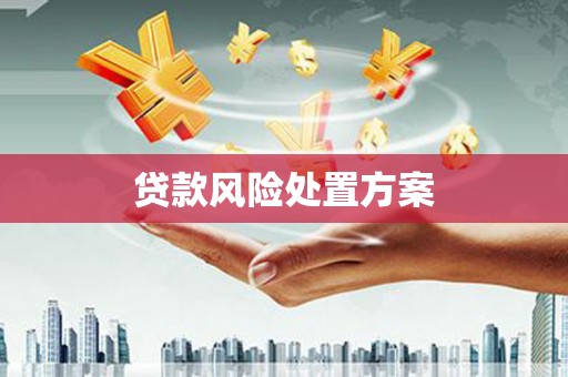 萍乡贷款风险处置方案