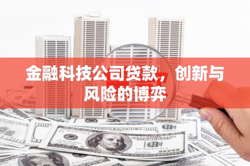 萍乡金融科技公司贷款，创新与风险的博弈