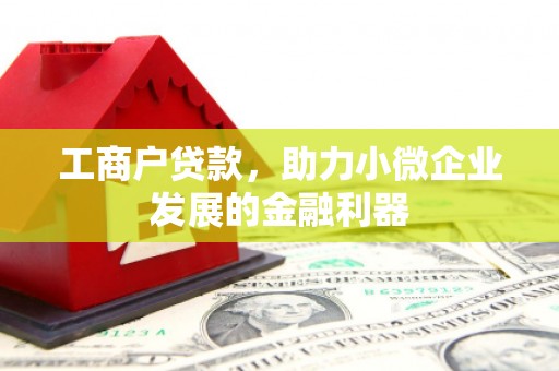 萍乡工商户贷款，助力小微企业发展的金融利器