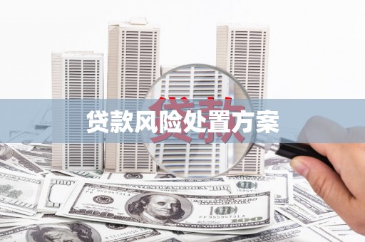 萍乡贷款风险处置方案