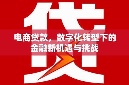 萍乡电商贷款，数字化转型下的金融新机遇与挑战