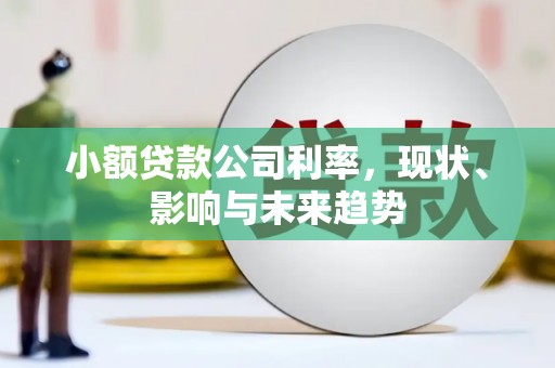 萍乡小额贷款公司利率，现状、影响与未来趋势