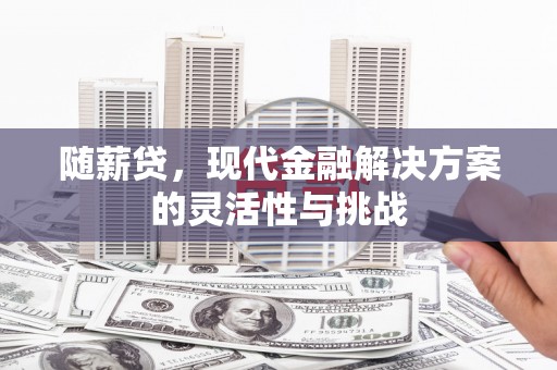 萍乡随薪贷，现代金融解决方案的灵活性与挑战
