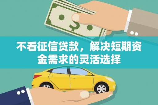 萍乡不看征信贷款，解决短期资金需求的灵活选择
