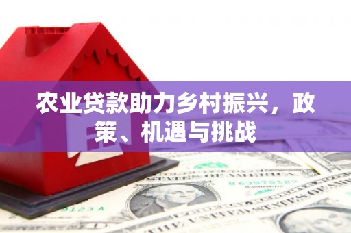 萍乡农业贷款助力乡村振兴，政策、机遇与挑战