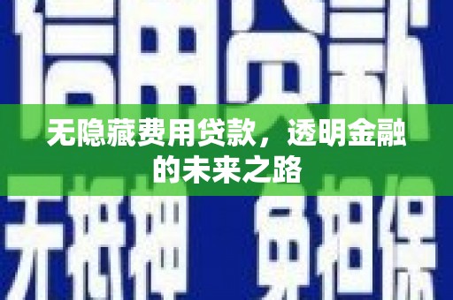 萍乡无隐藏费用贷款，透明金融的未来之路