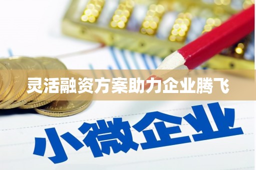 萍乡灵活融资方案助力企业腾飞