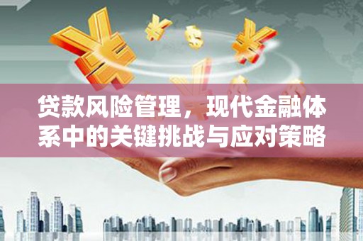 萍乡贷款风险管理，现代金融体系中的关键挑战与应对策略