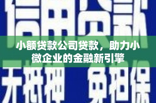 萍乡小额贷款公司贷款，助力小微企业的金融新引擎