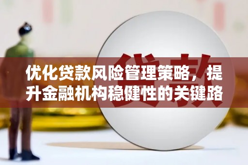 萍乡优化贷款风险管理策略，提升金融机构稳健性的关键路径