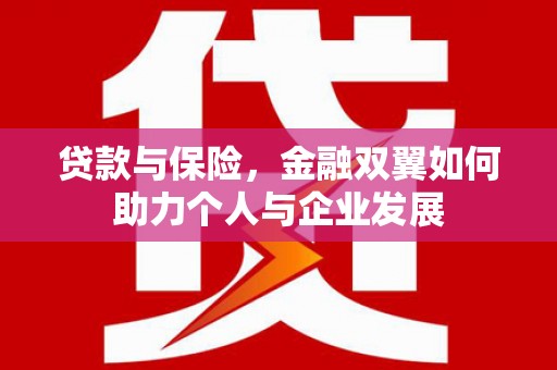 萍乡贷款与保险，金融双翼如何助力个人与企业发展