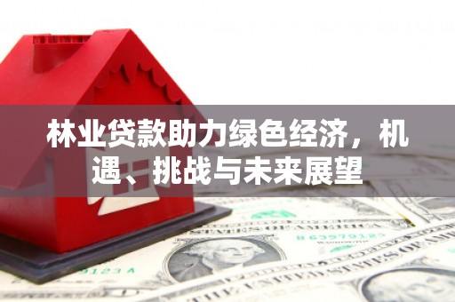 萍乡林业贷款助力绿色经济，机遇、挑战与未来展望