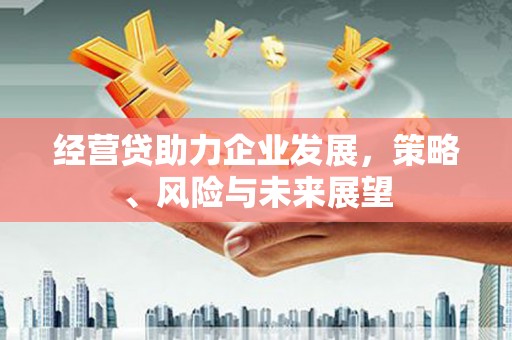 萍乡经营贷助力企业发展，策略、风险与未来展望
