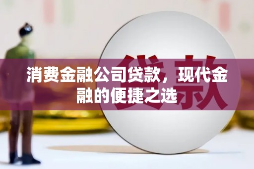 萍乡消费金融公司贷款，现代金融的便捷之选