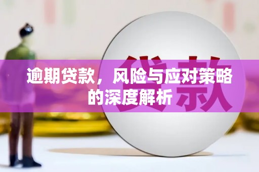萍乡逾期贷款，风险与应对策略的深度解析