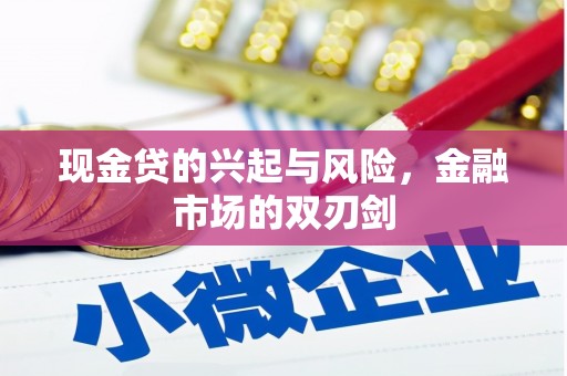 萍乡现金贷的兴起与风险，金融市场的双刃剑