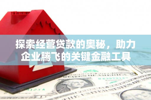 萍乡探索经营贷款的奥秘，助力企业腾飞的关键金融工具
