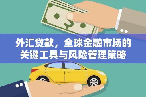 萍乡外汇贷款，全球金融市场的关键工具与风险管理策略