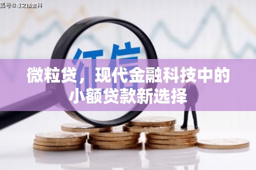 萍乡微粒贷，现代金融科技中的小额贷款新选择