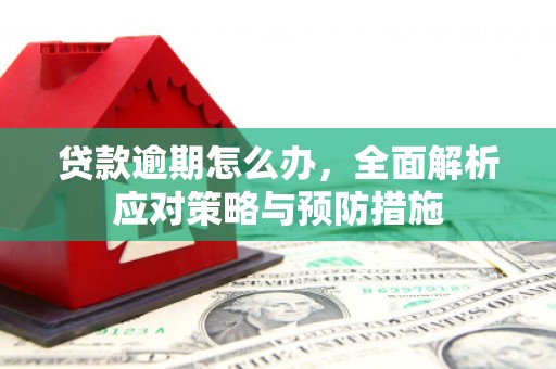 萍乡贷款逾期怎么办，全面解析应对策略与预防措施