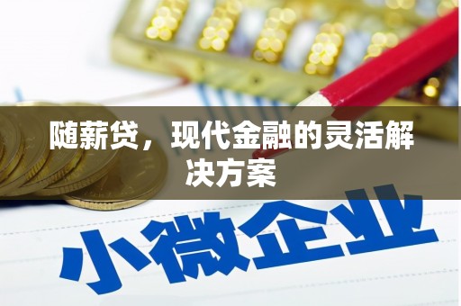 萍乡随薪贷，现代金融的灵活解决方案