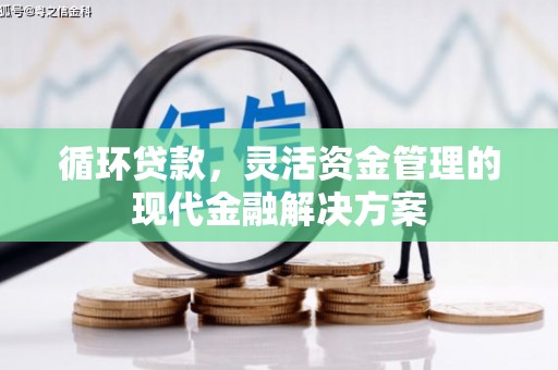 萍乡循环贷款，灵活资金管理的现代金融解决方案