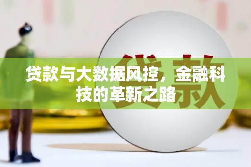 萍乡贷款与大数据风控，金融科技的革新之路