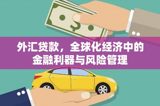 萍乡外汇贷款，全球化经济中的金融利器与风险管理