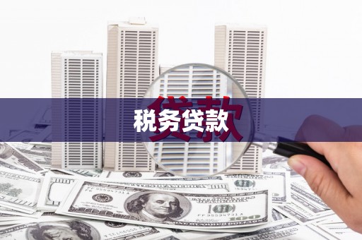 萍乡税务贷款