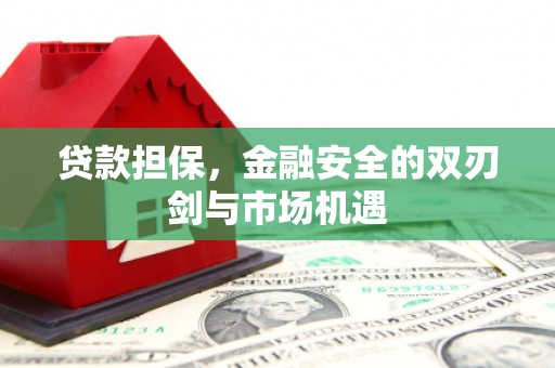萍乡贷款担保，金融安全的双刃剑与市场机遇