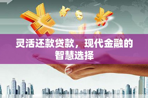 萍乡灵活还款贷款，现代金融的智慧选择
