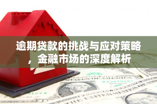 萍乡逾期贷款的挑战与应对策略，金融市场的深度解析