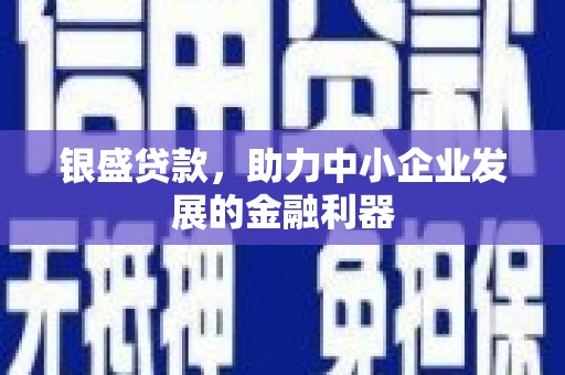萍乡银盛贷款，助力中小企业发展的金融利器