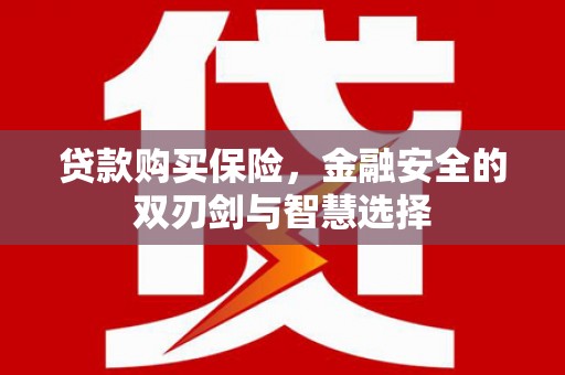 萍乡贷款购买保险，金融安全的双刃剑与智慧选择