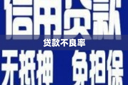 萍乡贷款不良率